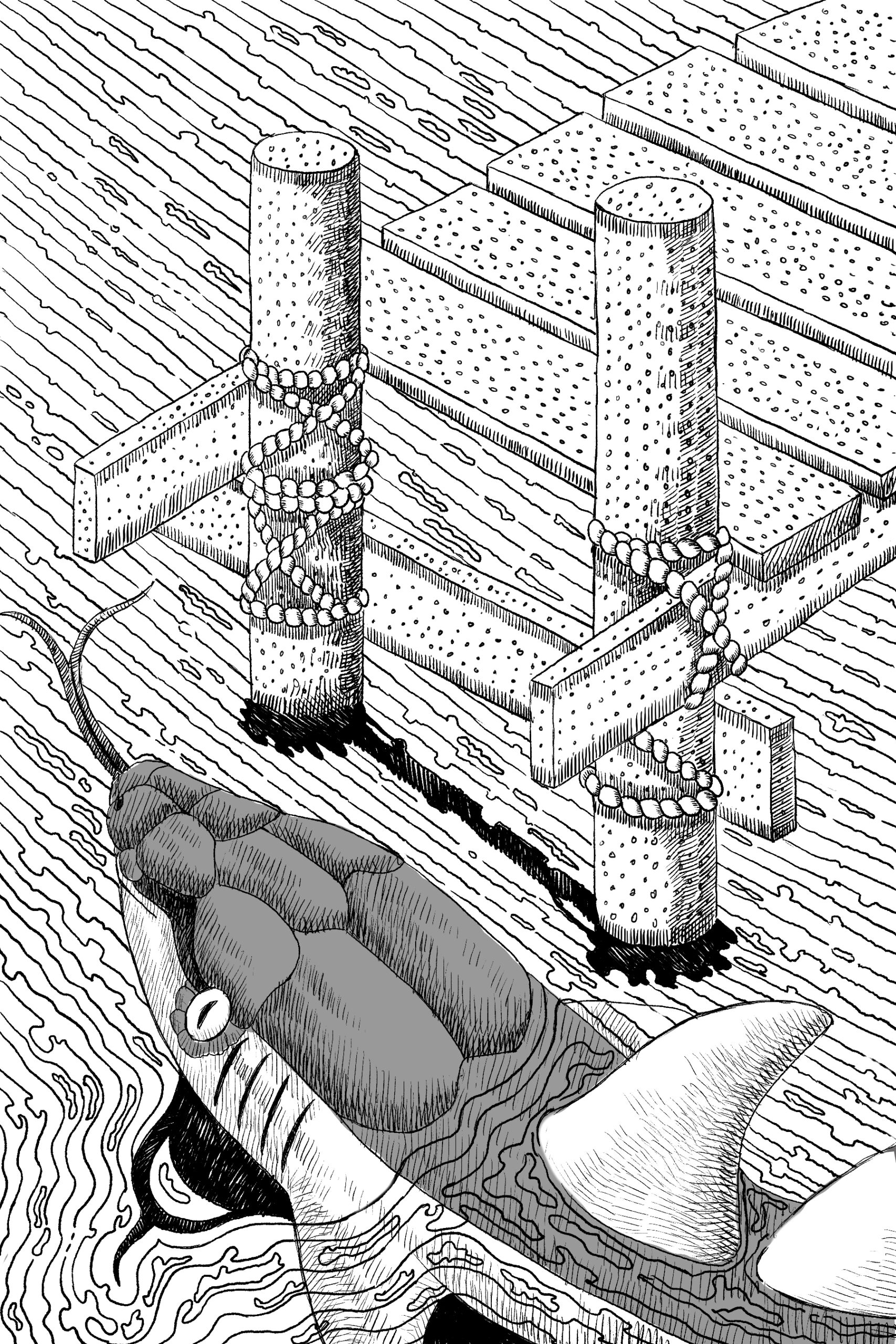 IV